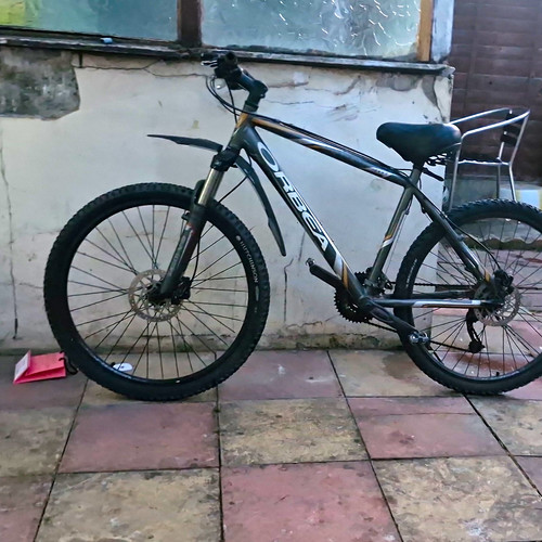 Orbea 26in mountain - orbea, bike