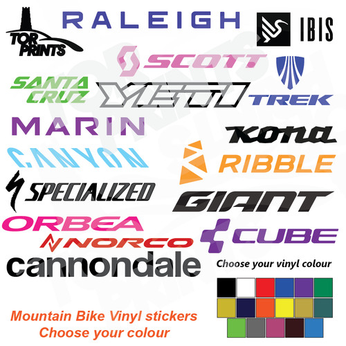 Large mountain bike - large,