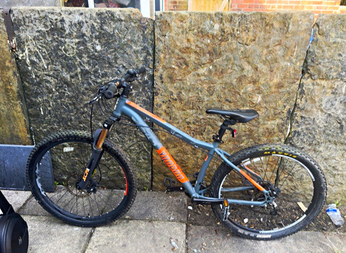 Orbea laufey mtb - 29in, front