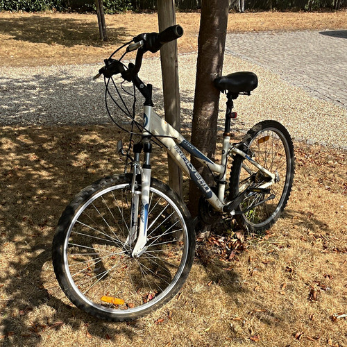 Orbea mountain bike - mountain, in